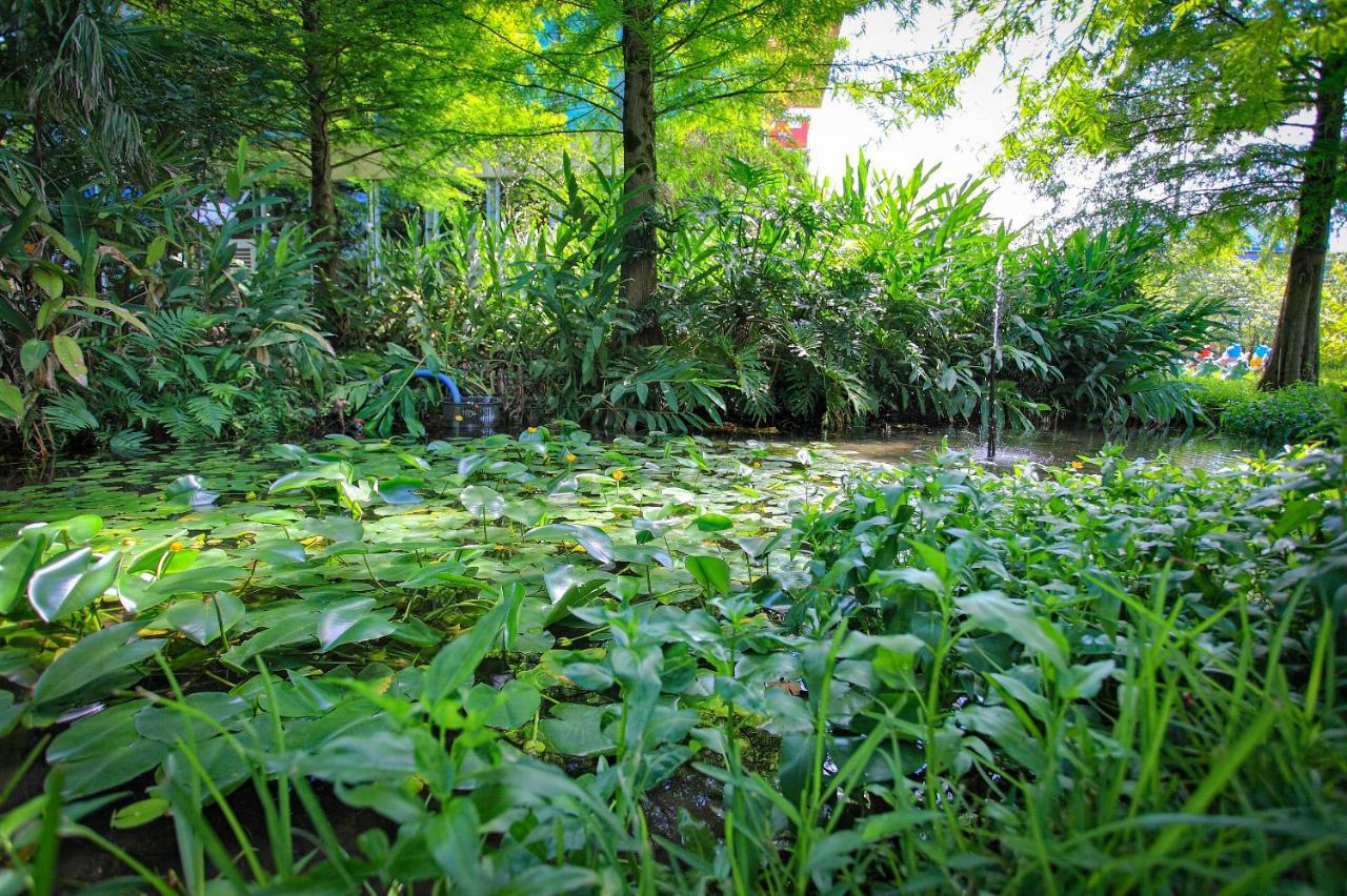 Fairy Story Village Farm B&B Dongshan  Eksteriør billede
